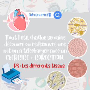 P3 CARNET DE VACANCES 2026 - FREE FICHESNURSE