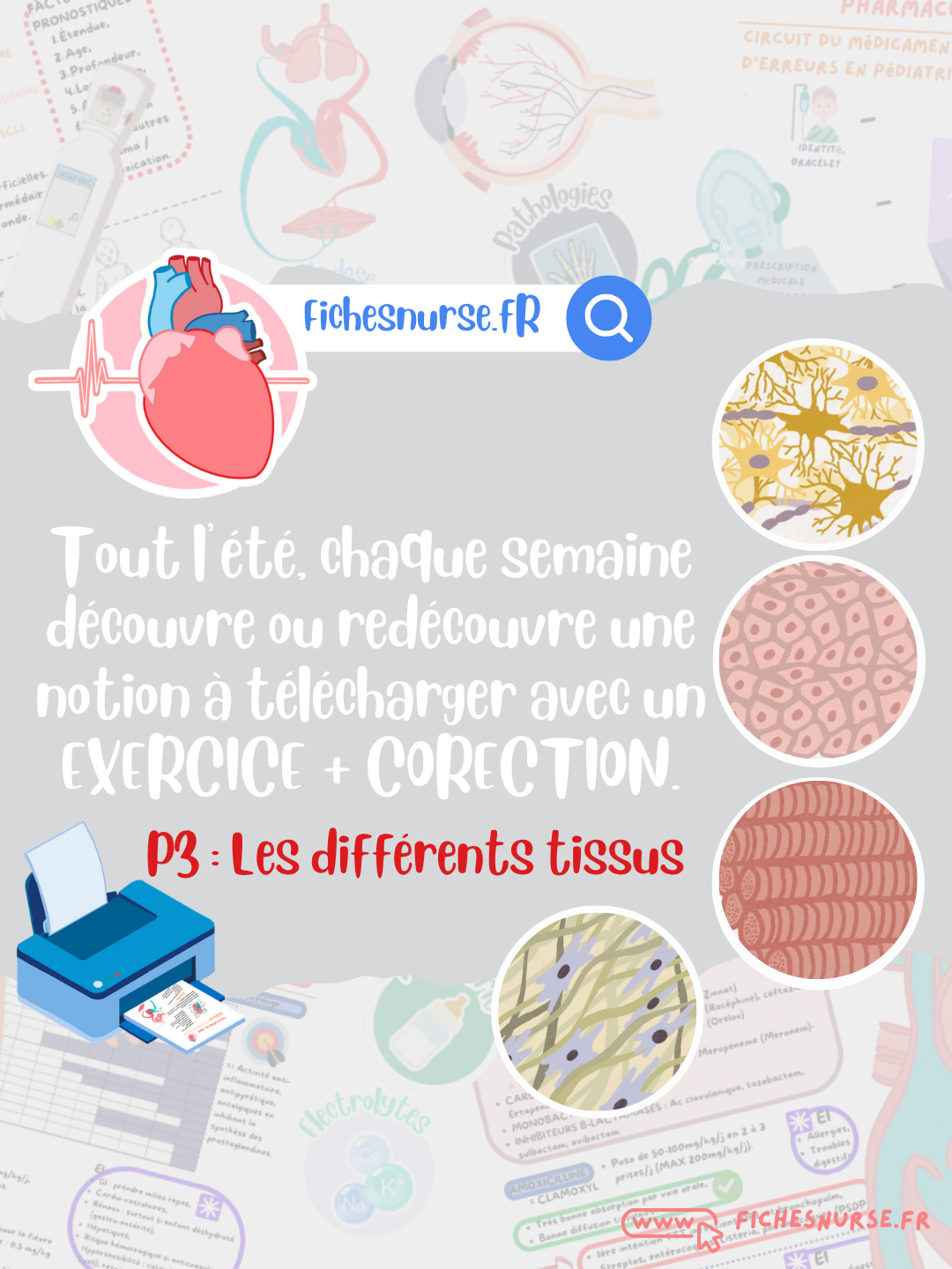 P3 CARNET DE VACANCES 2026 - FREE FICHESNURSE