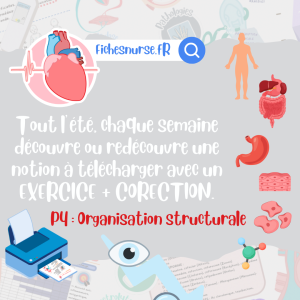 P4 CARNET DE VACANCES 2026 - FREE FICHESNURSE