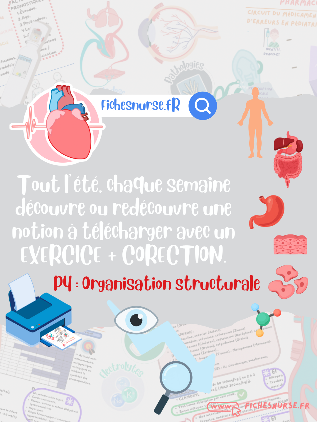 P4 CARNET DE VACANCES 2026 - FREE FICHESNURSE
