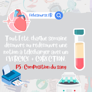 P5 CARNET DE VACANCES 2026 - FREE FICHESNURSE
