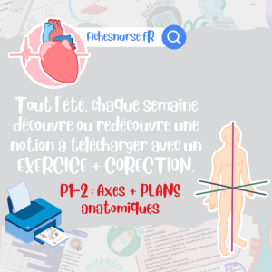 P1 et 2 CARNET DE VACANCES 2026 - FREE FICHESNURSE