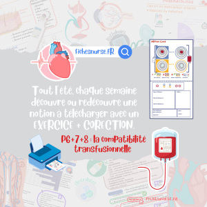 P6-7-8 CARNET DE VACANCES 2026 - FREE FICHESNURSE
