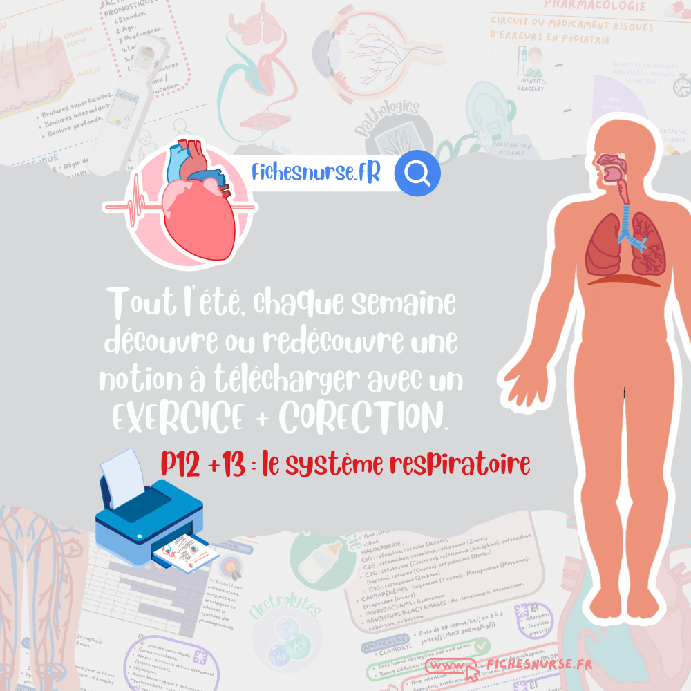P12-13 CARNET DE VACANCES 2026 - FREE FICHESNURSE (Copie)