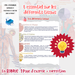 Fiches COURS Les différents Tissus