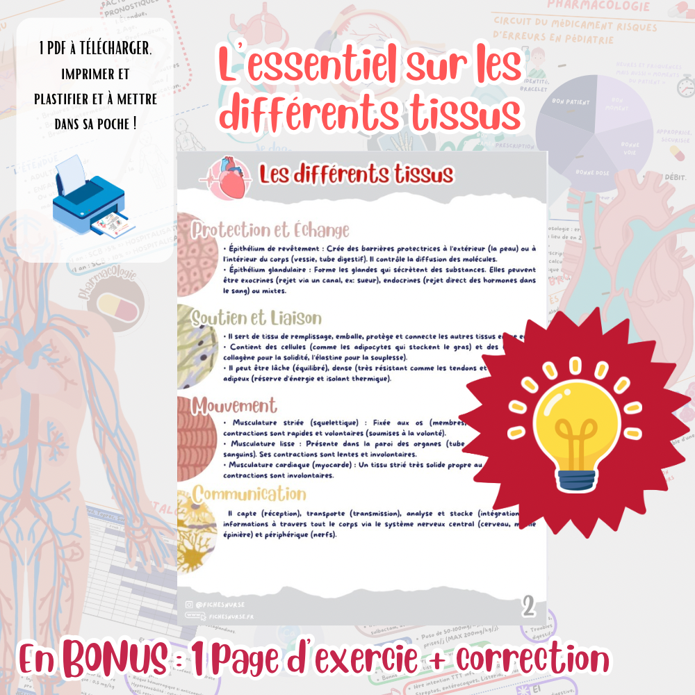 Fiches COURS Les différents Tissus – Image 2